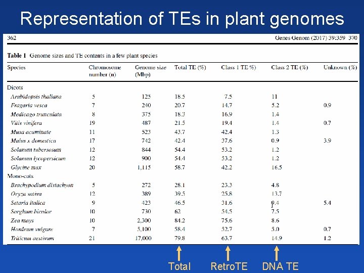 Representation of TEs in plant genomes Total Retro. TE DNA TE 