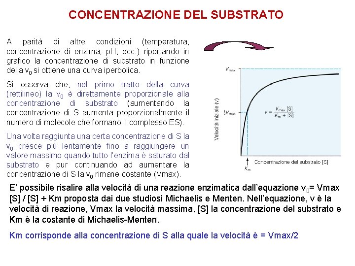 CONCENTRAZIONE DEL SUBSTRATO A parità di altre condizioni (temperatura, concentrazione di enzima, p. H,