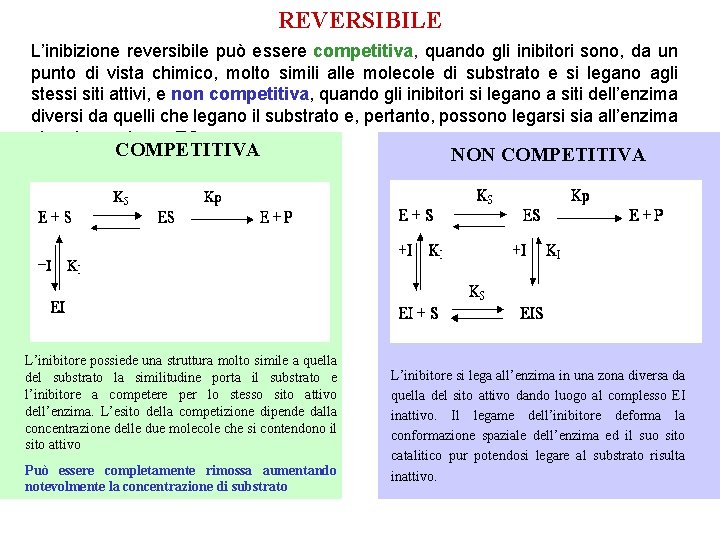 REVERSIBILE L’inibizione reversibile può essere competitiva, quando gli inibitori sono, da un punto di