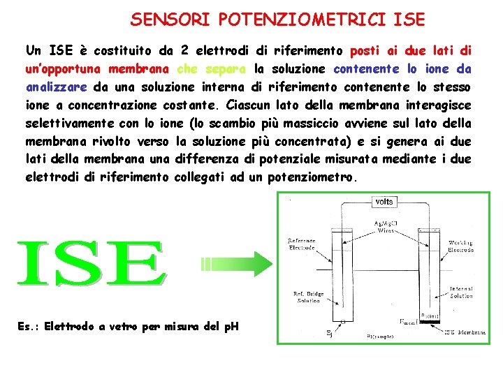 SENSORI POTENZIOMETRICI ISE Un ISE è costituito da 2 elettrodi di riferimento posti ai