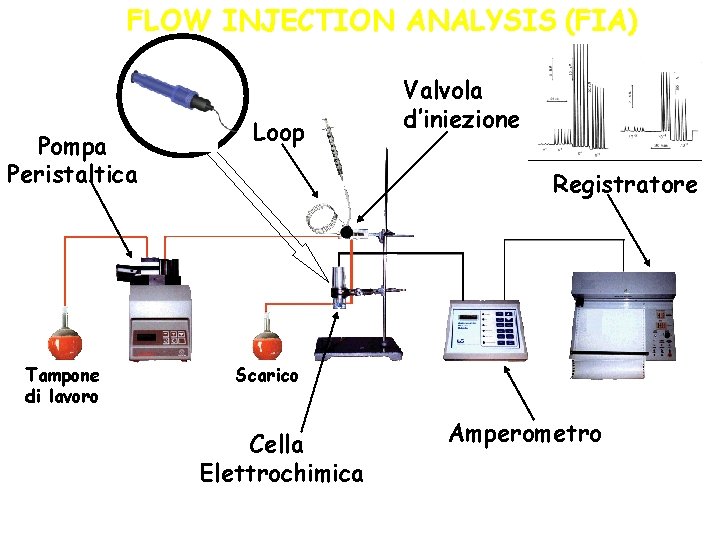 FLOW INJECTION ANALYSIS (FIA) Pompa Peristaltica Tampone di lavoro Loop Valvola d’iniezione Registratore Scarico