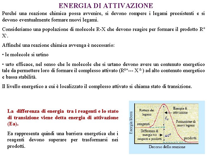 ENERGIA DI ATTIVAZIONE Perché una reazione chimica possa avvenire, si devono rompere i legami