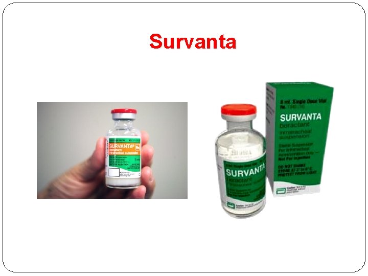 Survanta 