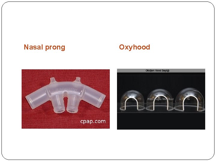Nasal prong Oxyhood 