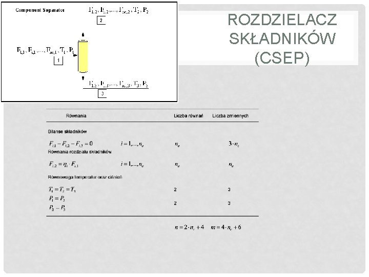 ROZDZIELACZ SKŁADNIKÓW (CSEP) 
