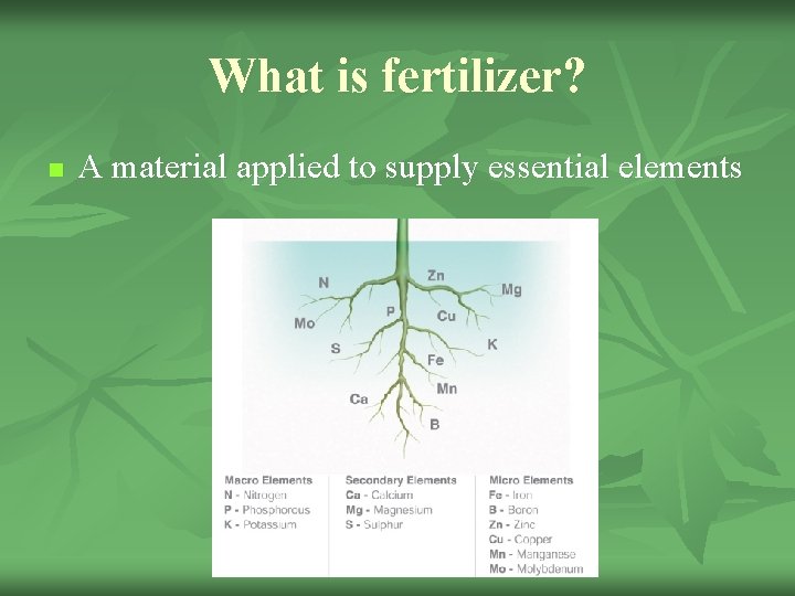 What is fertilizer? n A material applied to supply essential elements 