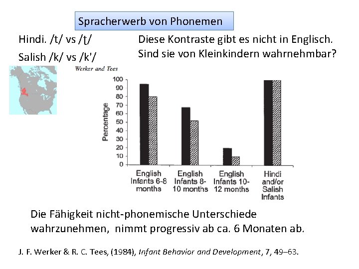 Spracherwerb von Phonemen Hindi. /t/ vs /ʈ/ Salish /k/ vs /k'/ Diese Kontraste gibt