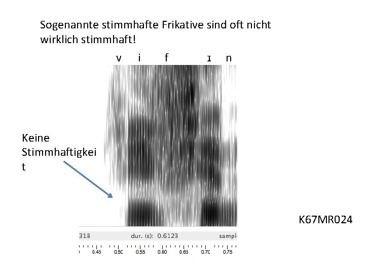 Sogenannte stimmhafte Frikative sind oft nicht wirklich stimmhaft! v i f ɪ n Keine