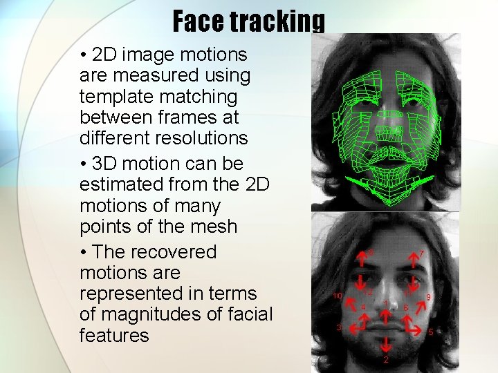 Face tracking • 2 D image motions are measured using template matching between frames