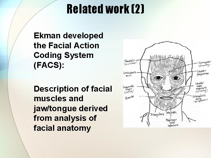 Related work (2) Ekman developed the Facial Action Coding System (FACS): Description of facial