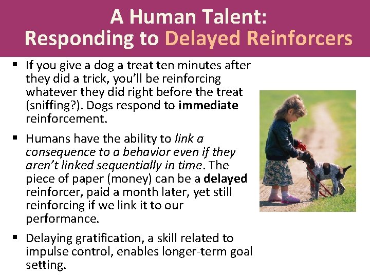 A Human Talent: Responding to Delayed Reinforcers § If you give a dog a