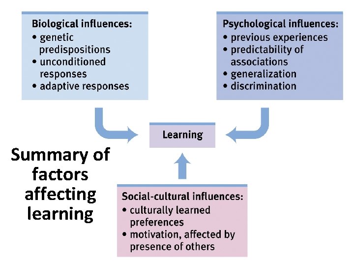 Summary of factors affecting learning 