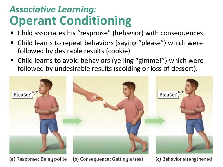 Associative Learning: Operant Conditioning § Child associates his “response” (behavior) with consequences. § Child