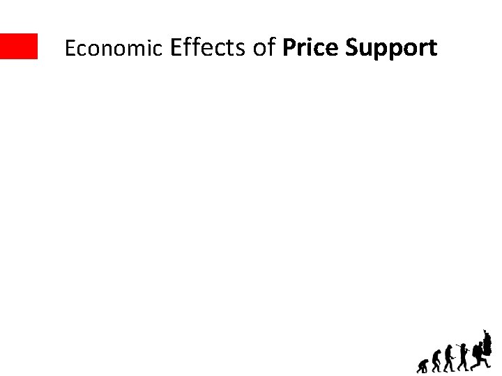 Economic Effects of Price Support 