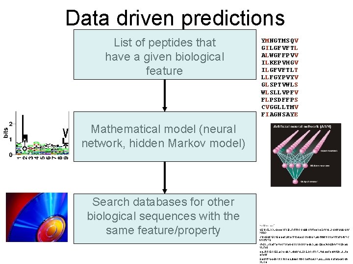Data driven predictions List of peptides that have a given biological feature YMNGTMSQV GILGFVFTL