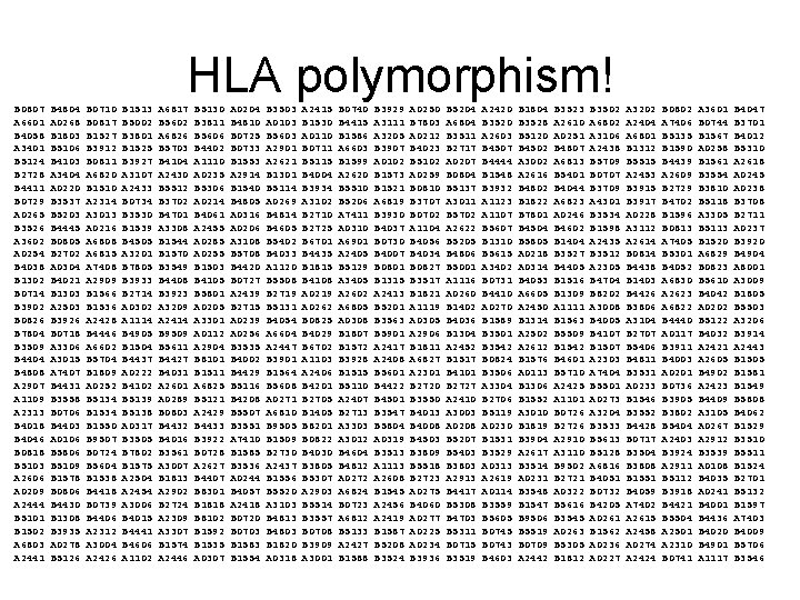 HLA polymorphism! B 0807 A 6601 B 4058 A 3401 B 5124 B 2728