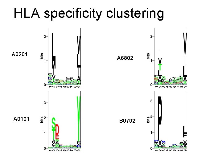 HLA specificity clustering A 0201 A 0101 A 6802 B 0702 