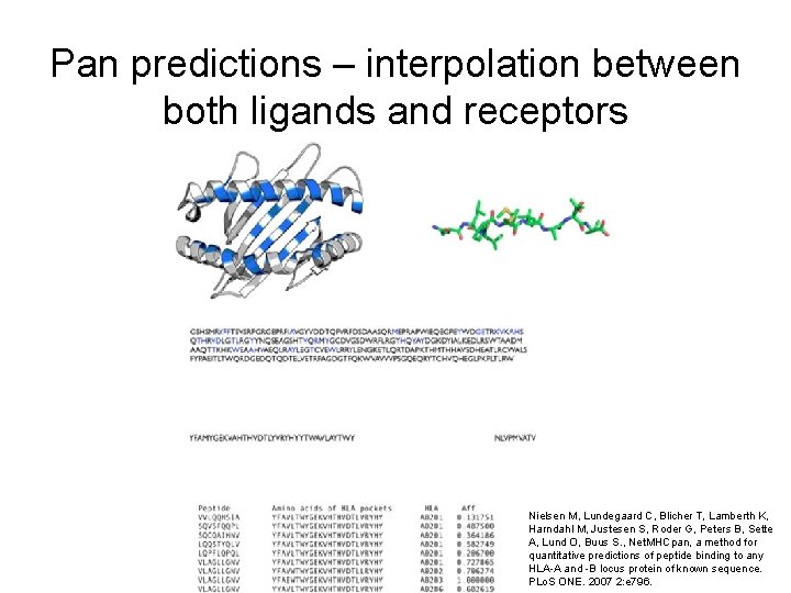 Pan predictions – interpolation between both ligands and receptors Nielsen M, Lundegaard C, Blicher