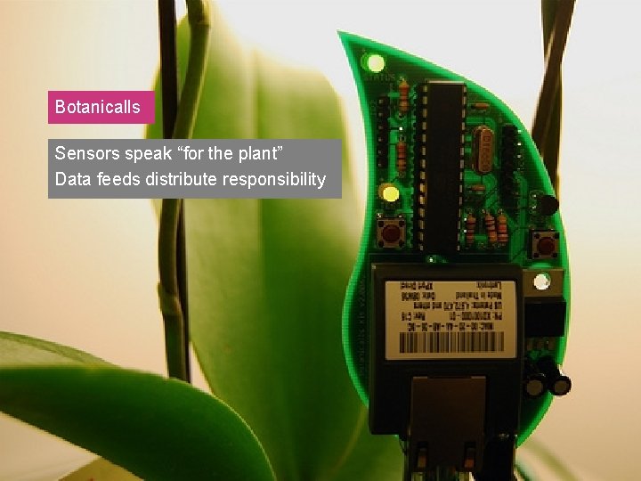 Botanicalls Sensors speak “for the plant” Data feeds distribute responsibility 