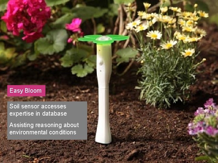 Easy Bloom Soil sensor accesses expertise in database Assisting reasoning about environmental conditions 