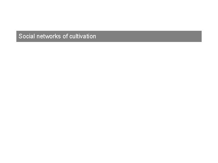 Social networks of cultivation 