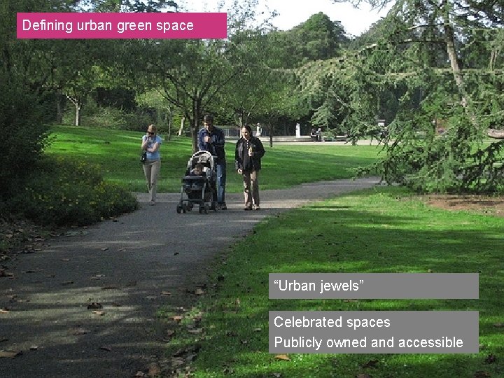 Defining urban green space “Urban jewels” Celebrated spaces Publicly owned and accessible 