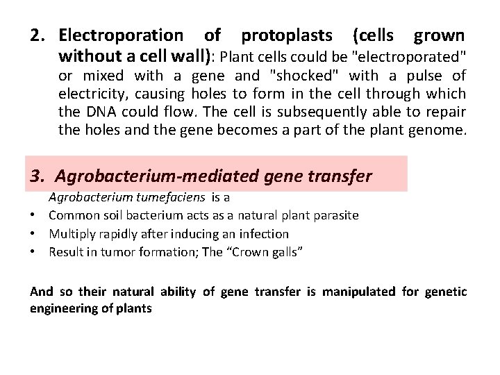 2. Electroporation of protoplasts (cells grown without a cell wall): Plant cells could be