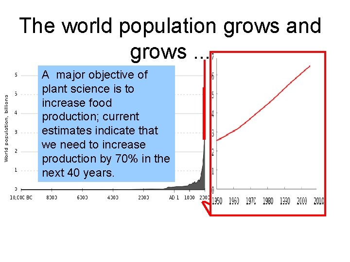 The world population grows and grows. . . A major objective of plant science