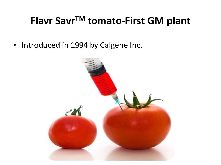 Flavr Savr. TM tomato-First GM plant • Introduced in 1994 by Calgene Inc. 