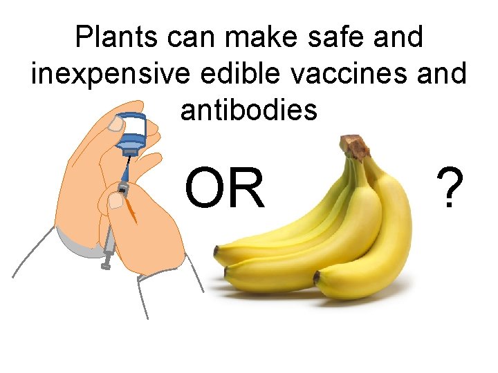 Plants can make safe and inexpensive edible vaccines and antibodies OR ? 