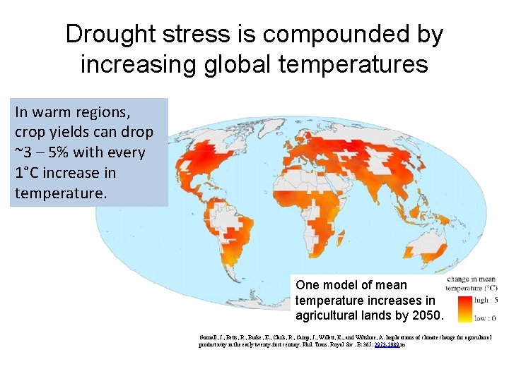 Drought stress is compounded by increasing global temperatures In warm regions, crop yields can