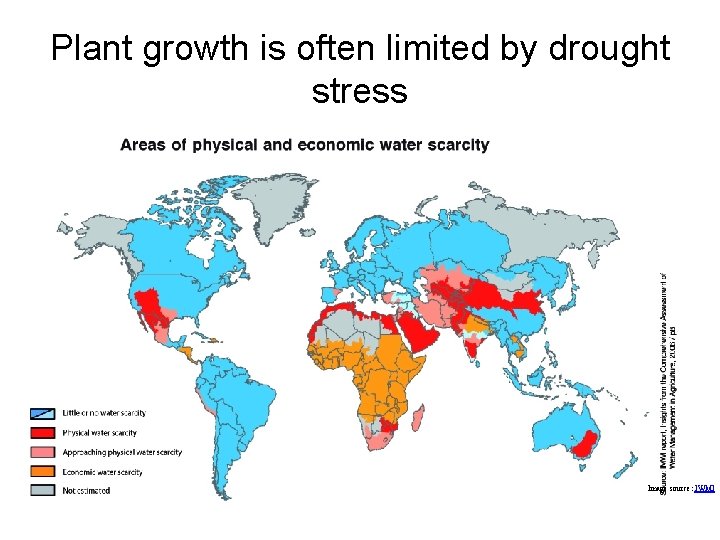 Plant growth is often limited by drought stress Image source: IWMI 