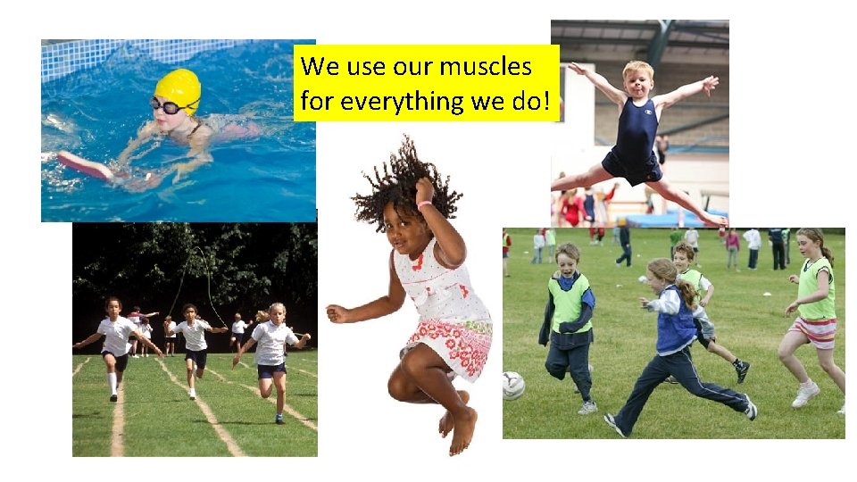 We use our muscles for everything we do! 