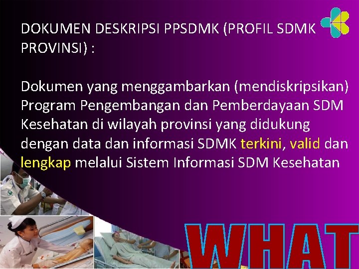 DOKUMEN DESKRIPSI PPSDMK (PROFIL SDMK PROVINSI) : Dokumen yang menggambarkan (mendiskripsikan) Program Pengembangan dan