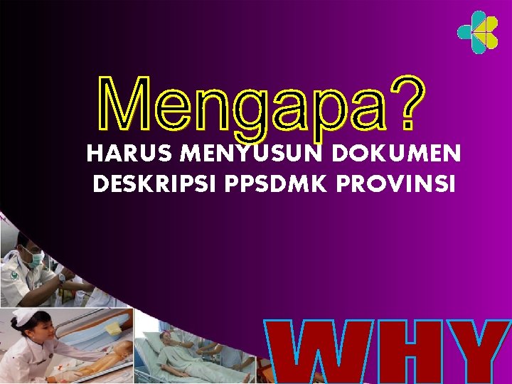 HARUS MENYUSUN DOKUMEN DESKRIPSI PPSDMK PROVINSI 