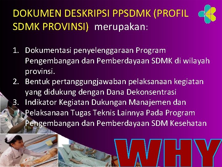 DOKUMEN DESKRIPSI PPSDMK (PROFIL SDMK PROVINSI) merupakan: 1. Dokumentasi penyelenggaraan Program Pengembangan dan Pemberdayaan