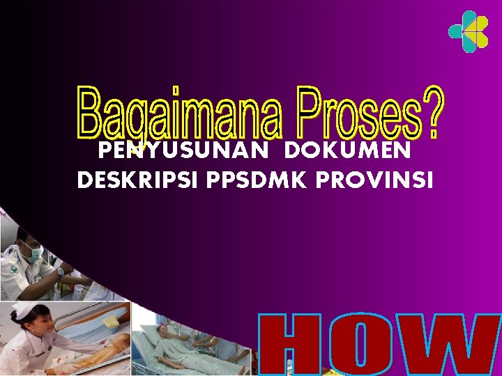 PENYUSUNAN DOKUMEN DESKRIPSI PPSDMK PROVINSI 