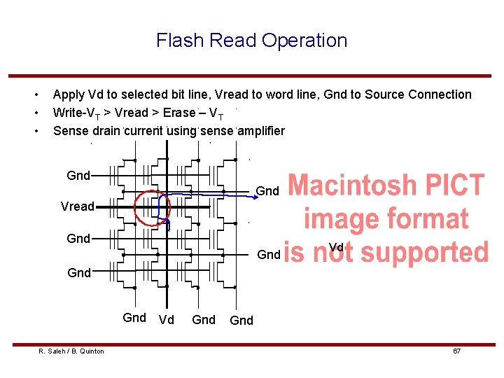 Flash Read Operation • • • Apply Vd to selected bit line, Vread to