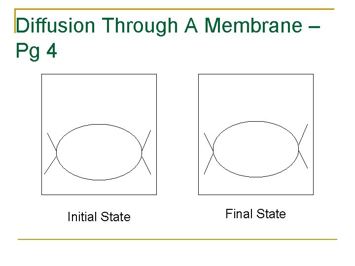 Diffusion Through A Membrane – Pg 4 Initial State Final State 