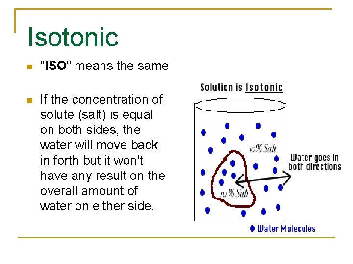 Isotonic "ISO" means the same If the concentration of solute (salt) is equal on
