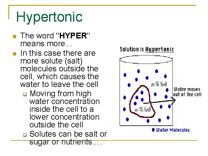 Hypertonic The word "HYPER" means more… In this case there are more solute (salt)