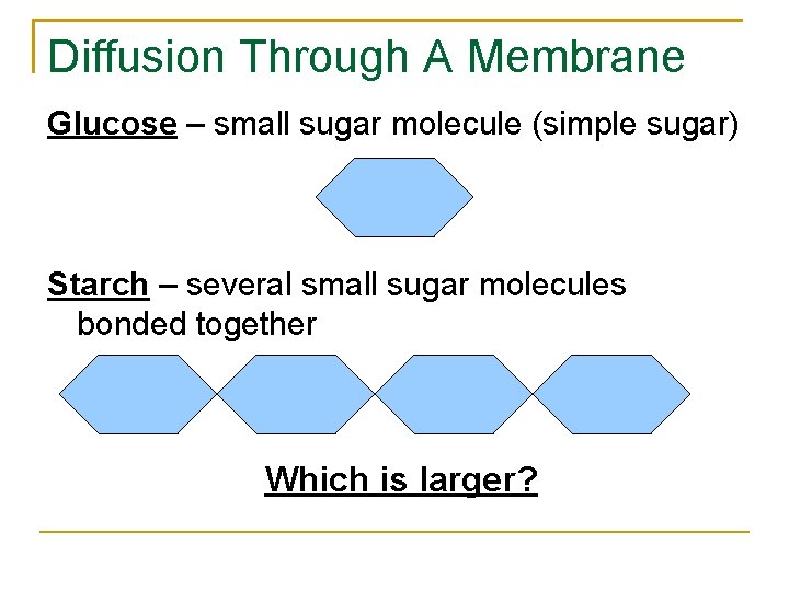 Diffusion Through A Membrane Glucose – small sugar molecule (simple sugar) Starch – several