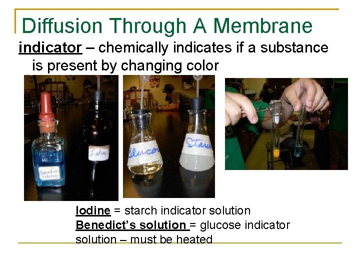 Diffusion Through A Membrane indicator – chemically indicates if a substance is present by