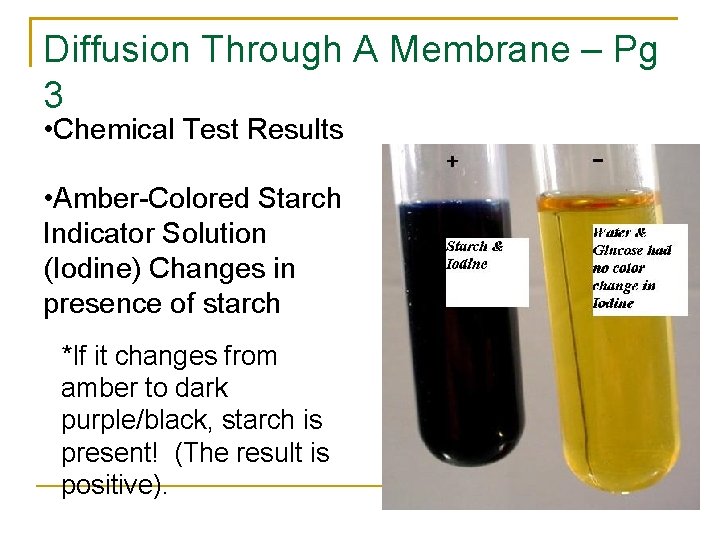 Diffusion Through A Membrane – Pg 3 • Chemical Test Results • Amber-Colored Starch