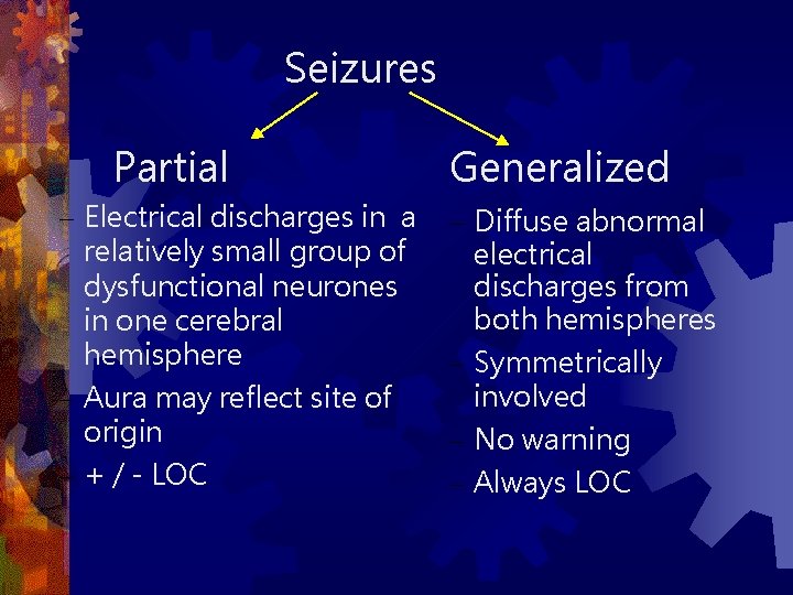 Seizures Partial – Electrical discharges in a relatively small group of dysfunctional neurones in