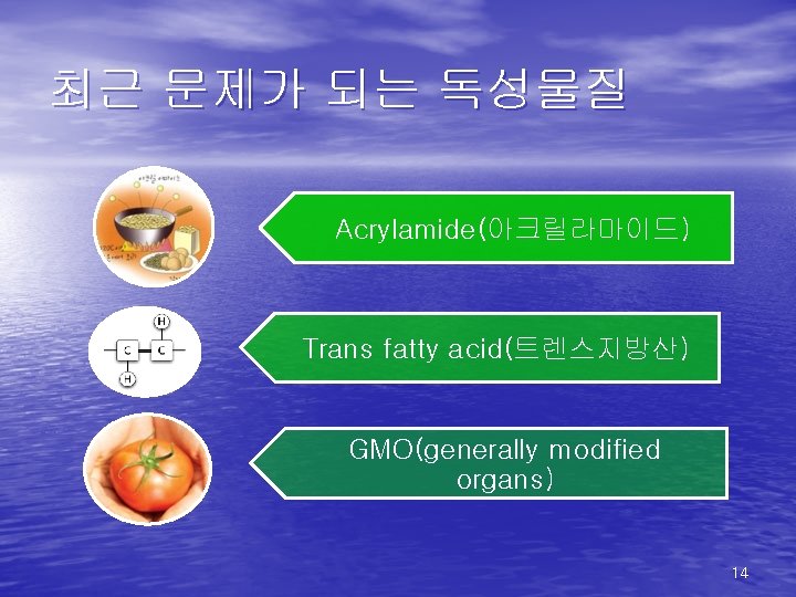 최근 문제가 되는 독성물질 Acrylamide(아크릴라마이드) Trans fatty acid(트렌스지방산) GMO(generally modified organs) 14 