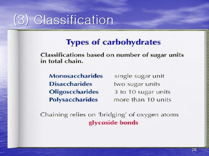 (3) Classification 28 