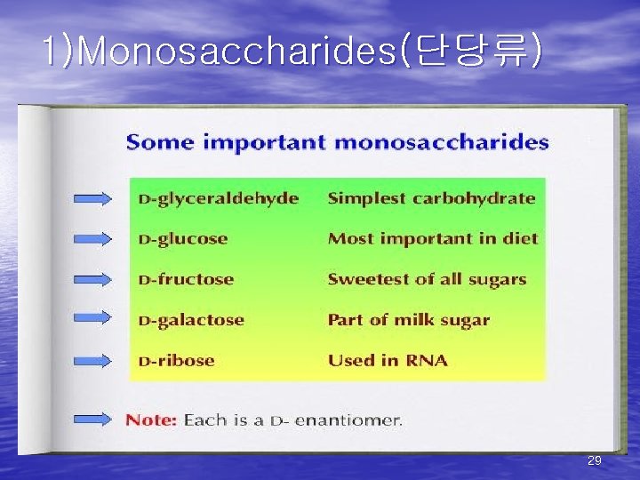 1)Monosaccharides(단당류) 29 