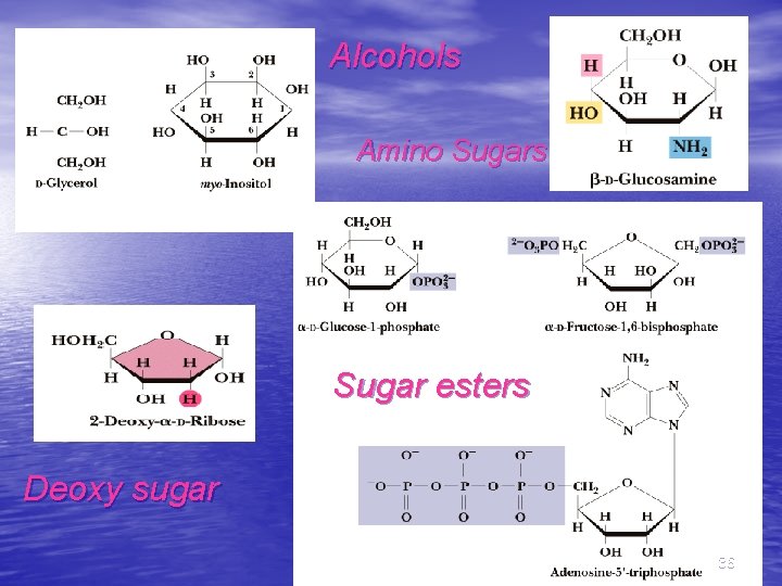 Alcohols Amino Sugars Sugar esters Deoxy sugar 36 