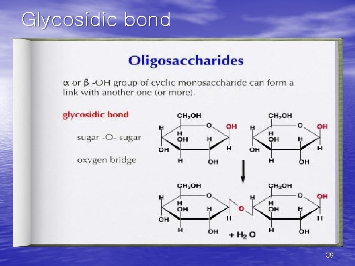 Glycosidic bond 39 